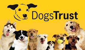 dogs trust